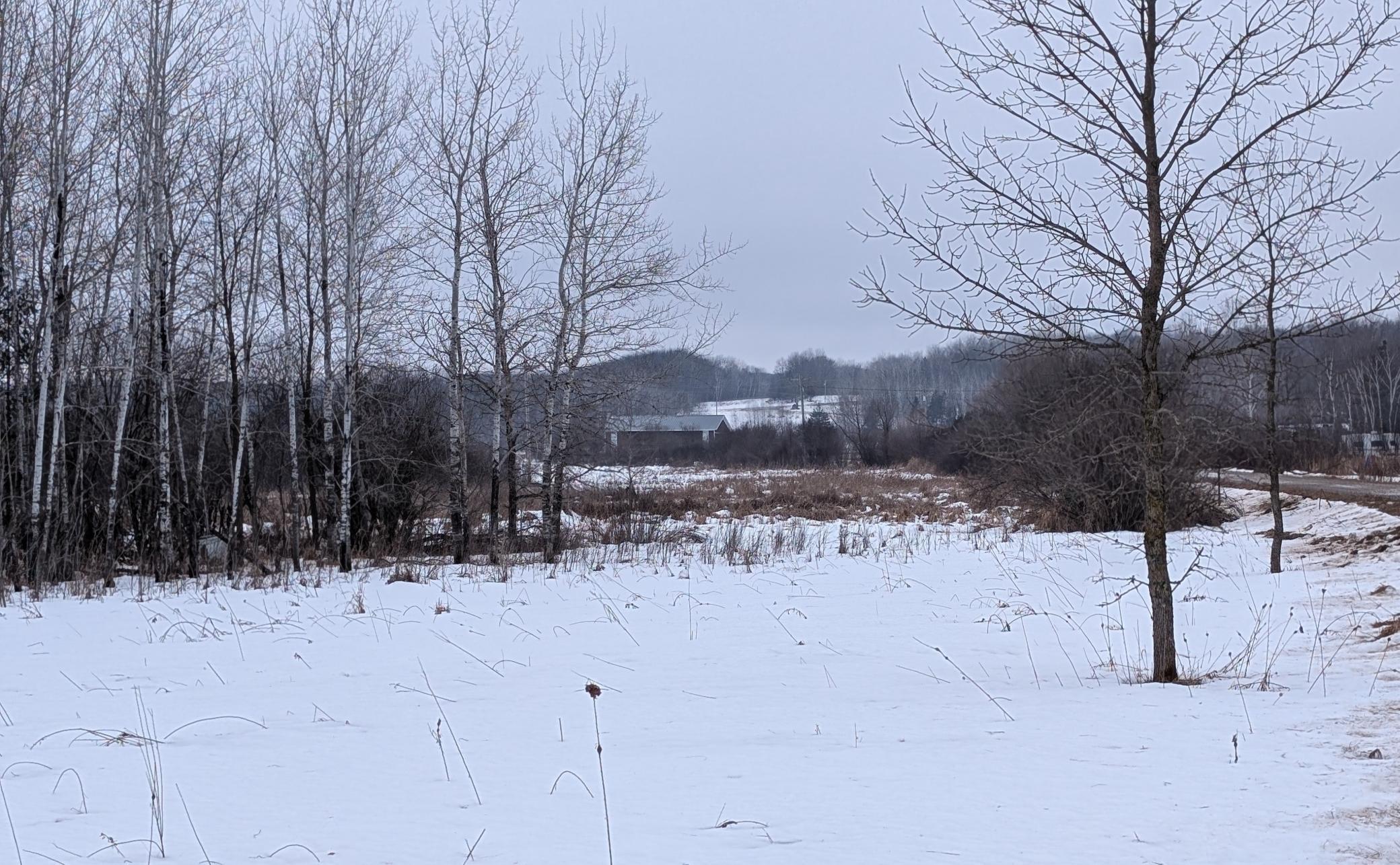 Tbd Hummingbird Road Long Prairie, MN 56347 - Photo 2 of 12