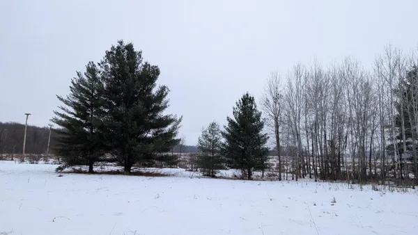 $123,500 | Tbd Hummingbird Road, Long Prairie, MN 56347