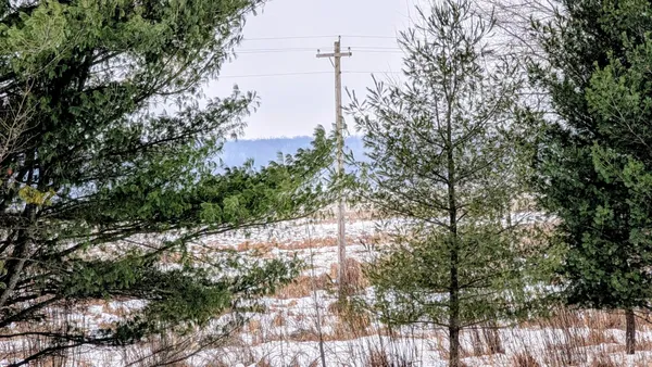 $123,500 | Tbd Hummingbird Road, Long Prairie, MN 56347