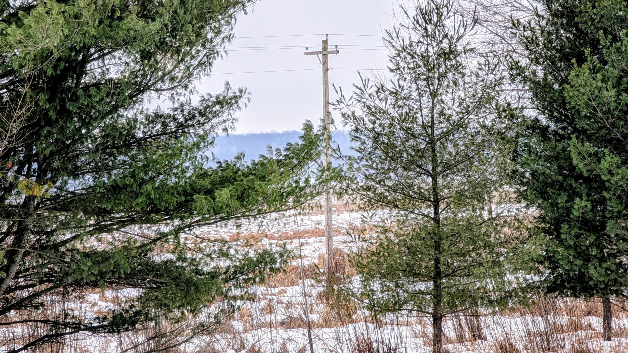 Tbd Hummingbird Road Long Prairie, MN 56347 - Photo 4 of 12