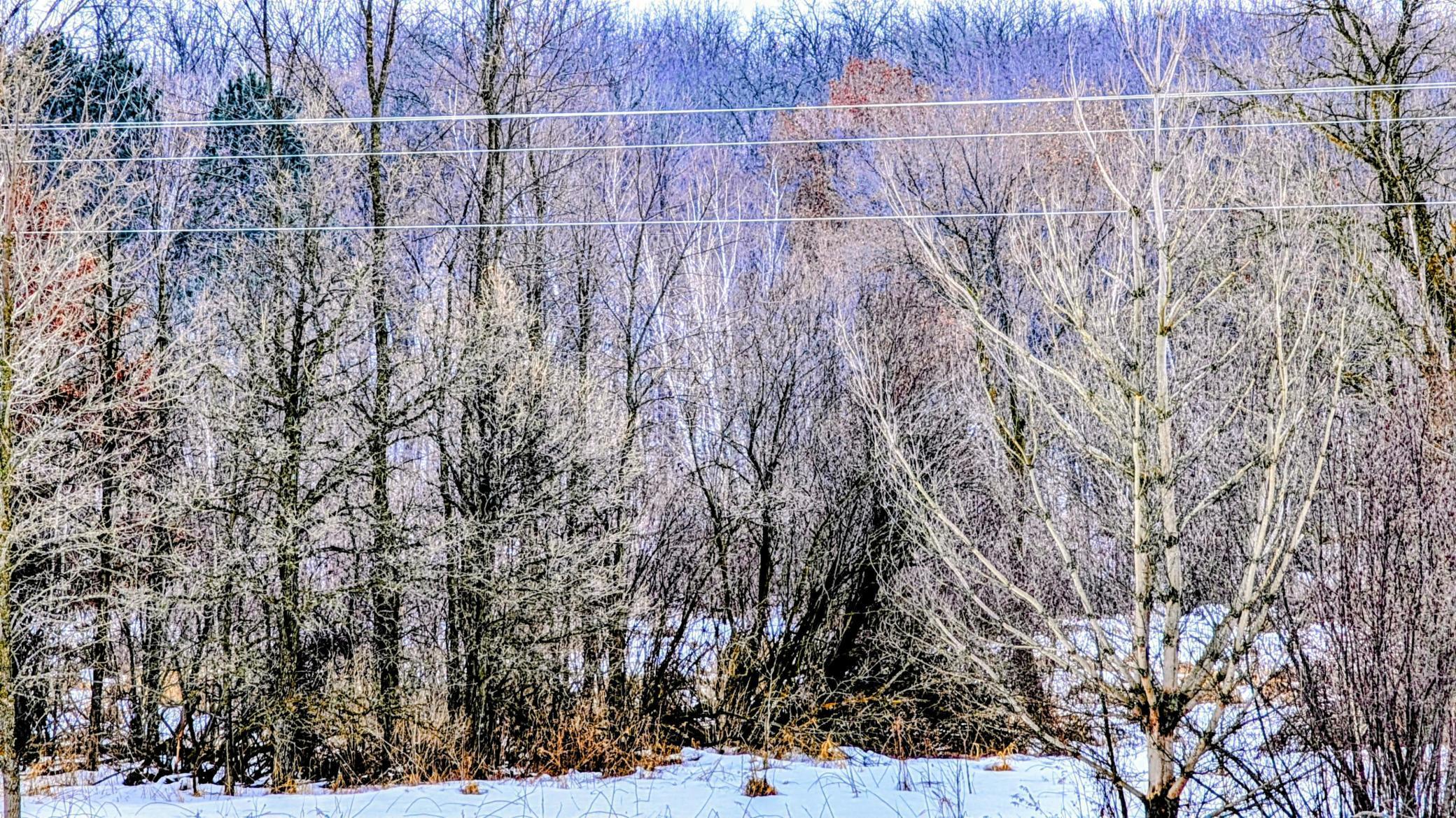 Tbd Hummingbird Road Long Prairie, MN 56347 - Photo 5 of 12