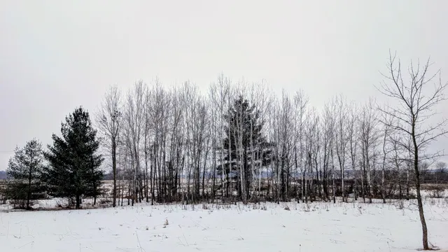 $129,900 | Tbd Hummingbird Road, Long Prairie, MN 56347