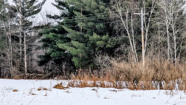 $129,900 | Tbd Hummingbird Road, Long Prairie, MN 56347