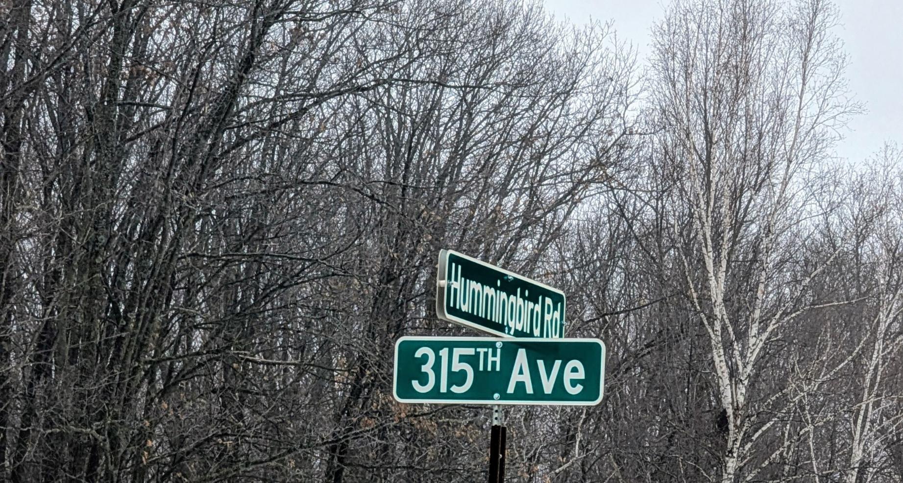 Tbd Hummingbird Road Long Prairie, MN 56347 - Photo 8 of 12