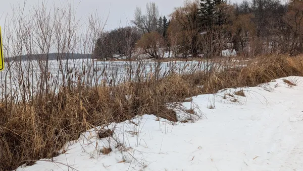 $123,500 | Tbd Hummingbird Road, Long Prairie, MN 56347