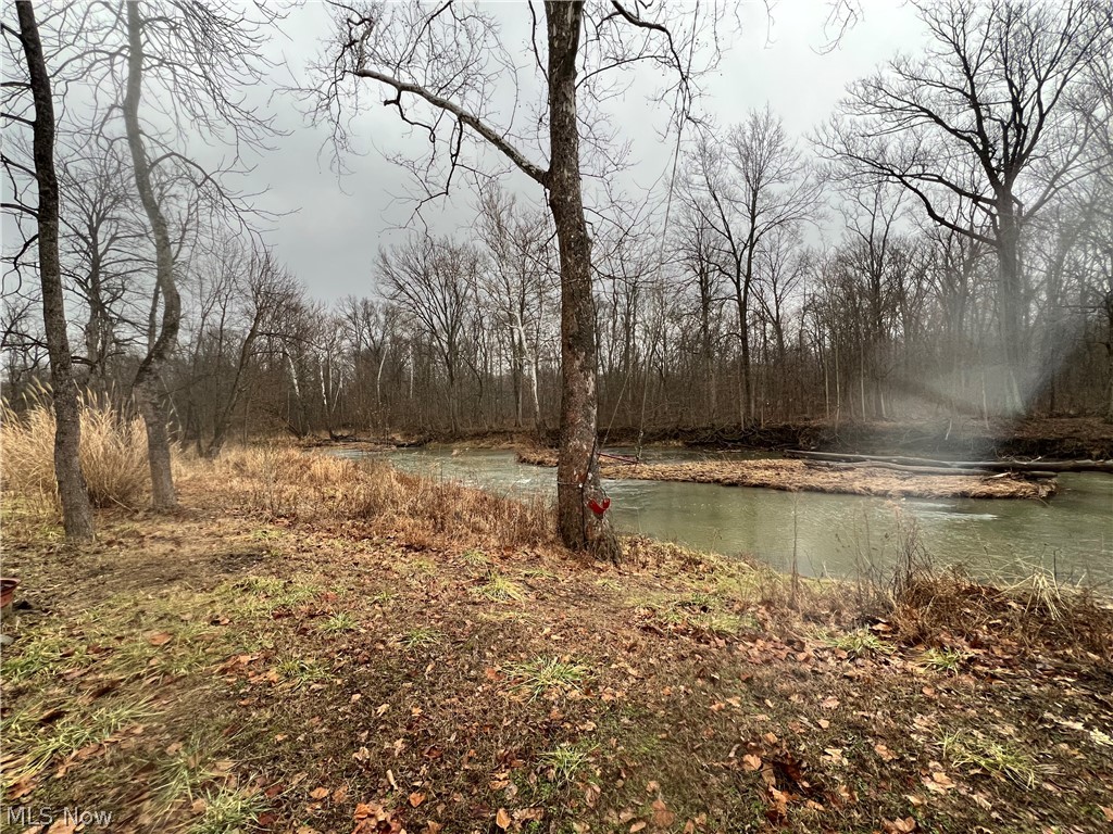 4512 Wenz Road Wakeman, OH 44889 - Photo 5 of 19 Water view