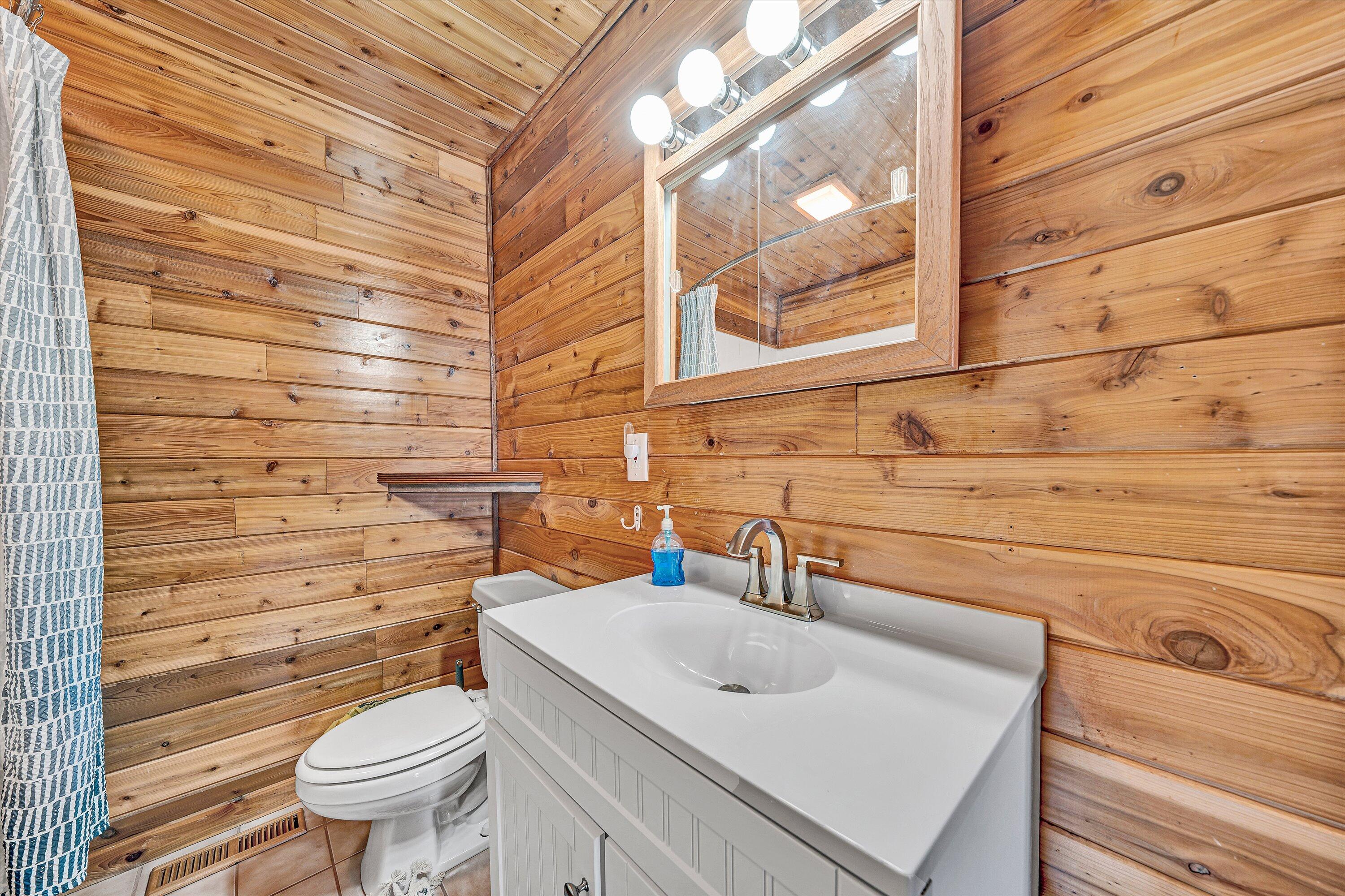 290 Winding Way Union Hall, VA 24176 - Photo 41 of 50 a bathroom with a sink and a toilet