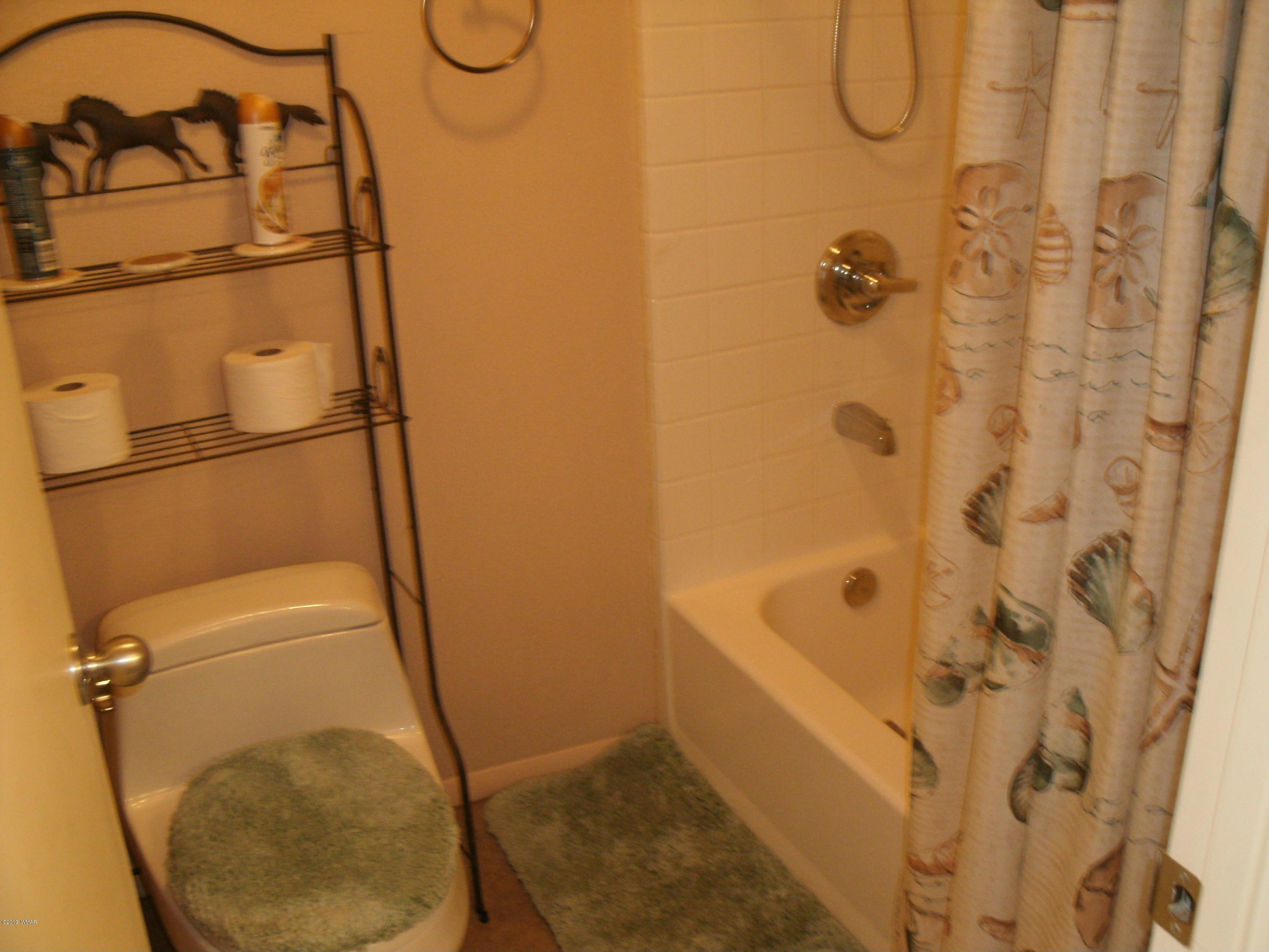 4078 East Pinto Road Snowflake, AZ 85937 - Photo 31 of 49 a bathroom with a tub and a shower