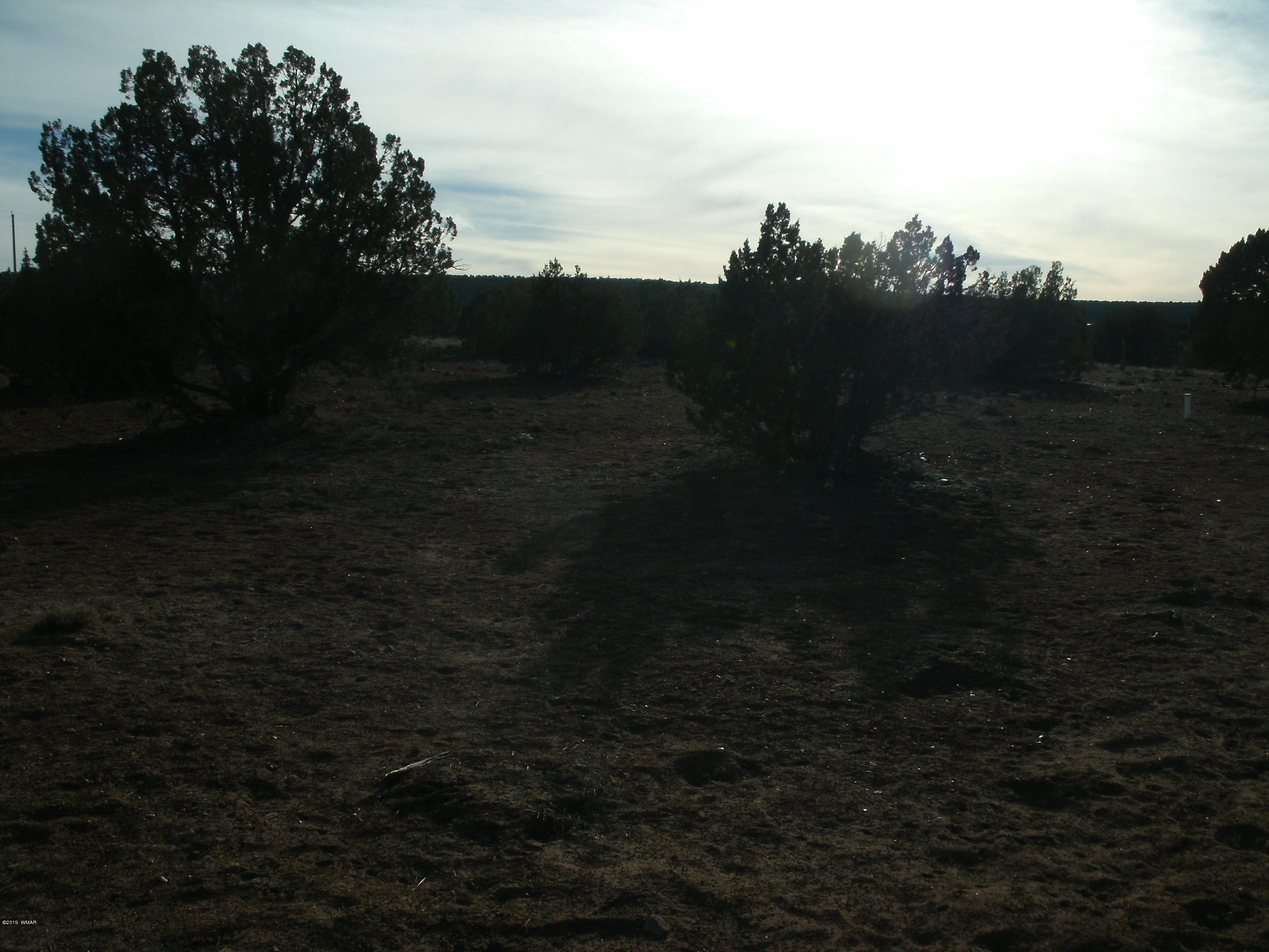4078 East Pinto Road Snowflake, AZ 85937 - Photo 45 of 49 a view of a yard