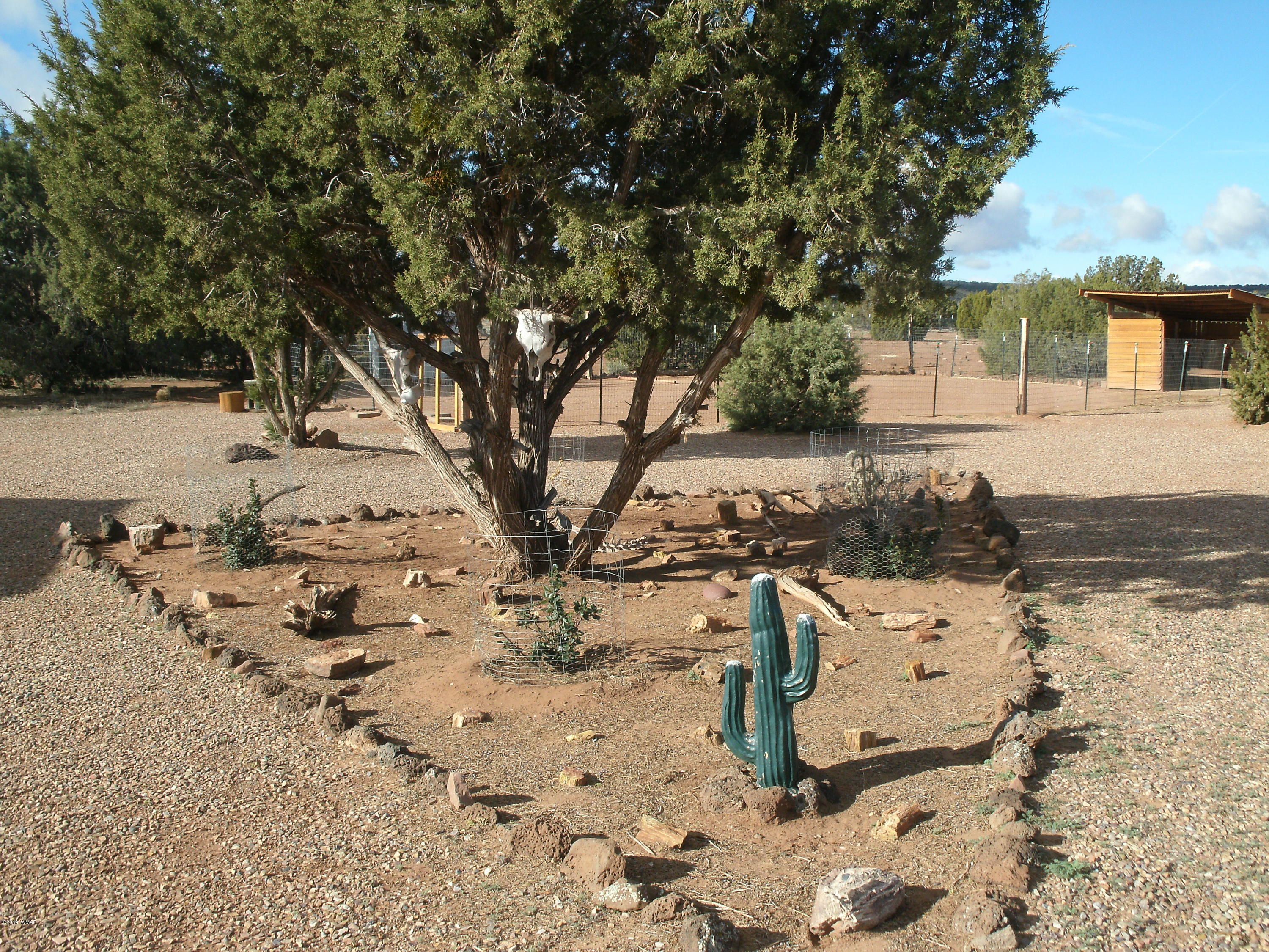 4078 East Pinto Road Snowflake, AZ 85937 - Photo 7 of 49 a view of a yard with snow on the road