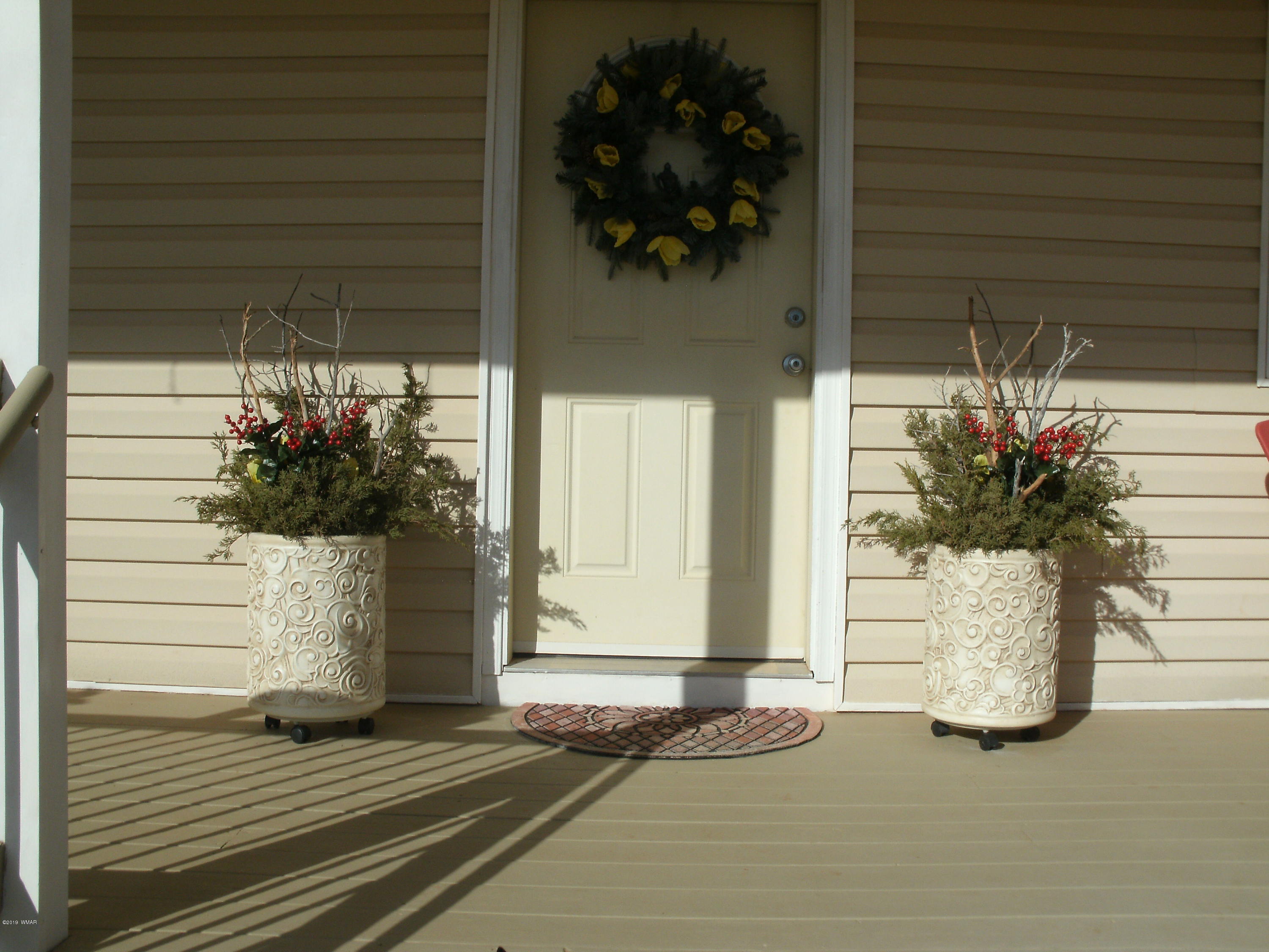4078 East Pinto Road Snowflake, AZ 85937 - Photo 10 of 49 a potted plant sitting on the side of a building