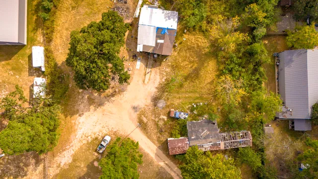 a view of a tree with a tree in the background