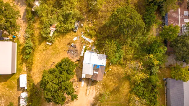 a view of a tree in a yard
