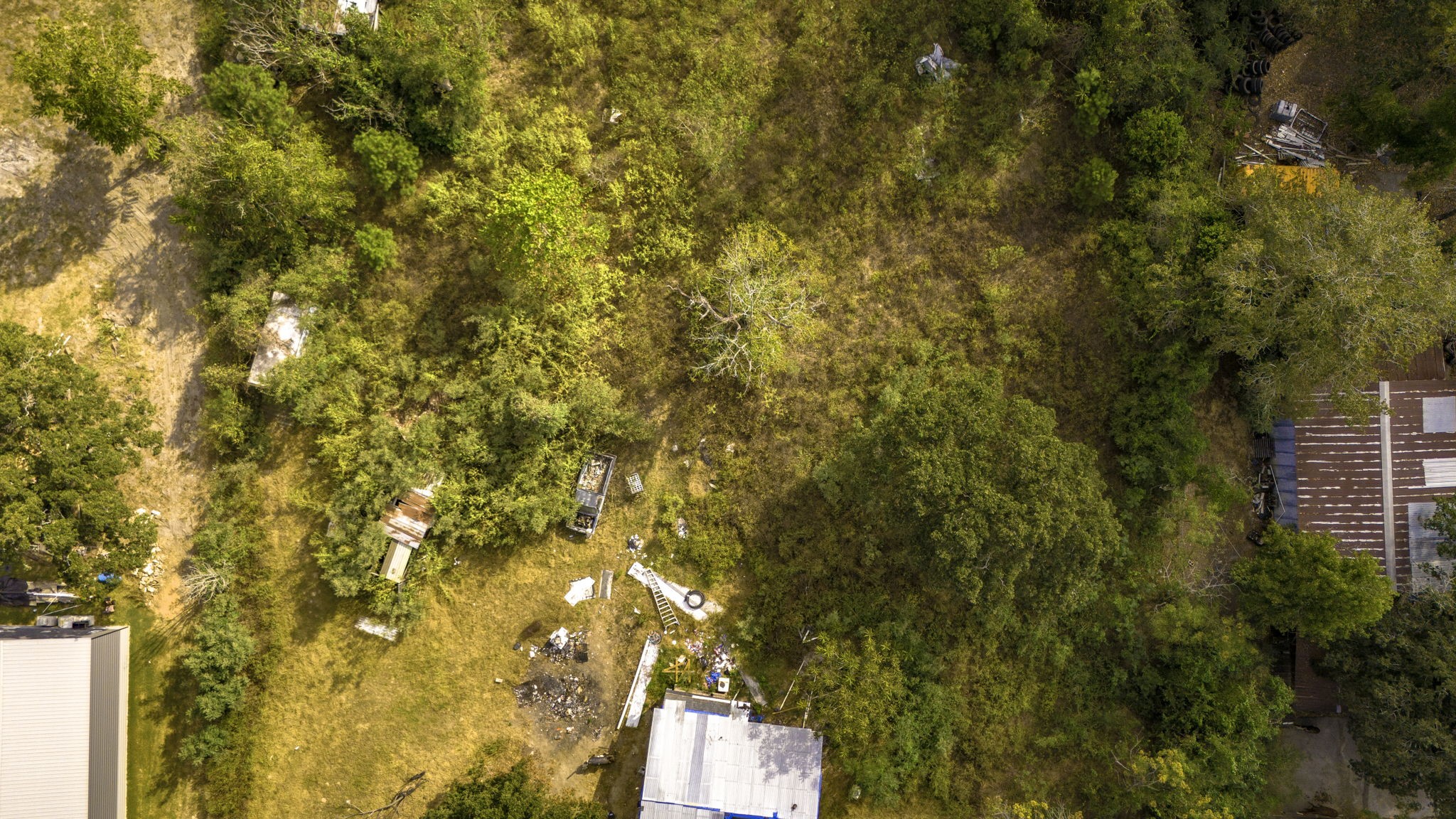 19791 Keenan Cut Off Road Montgomery, TX 77316 - Photo 27 of 41 a view of a tree with a house in front of it