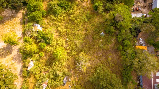 a view of an outdoor space and window