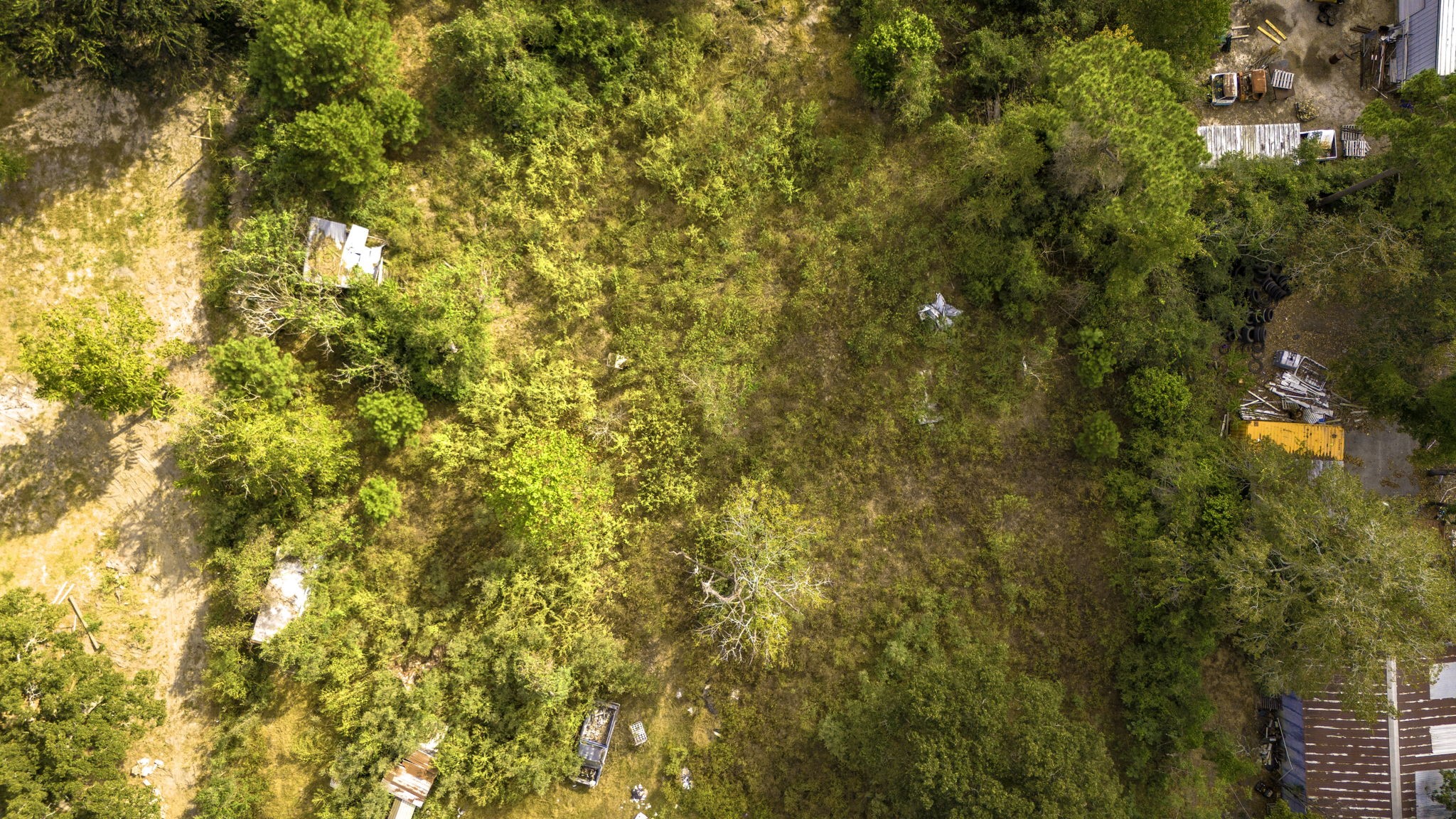 19791 Keenan Cut Off Road Montgomery, TX 77316 - Photo 28 of 41 a view of a tree