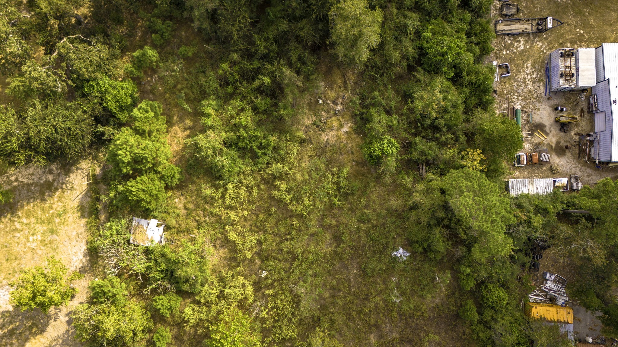 19791 Keenan Cut Off Road Montgomery, TX 77316 - Photo 29 of 41 a view of a building