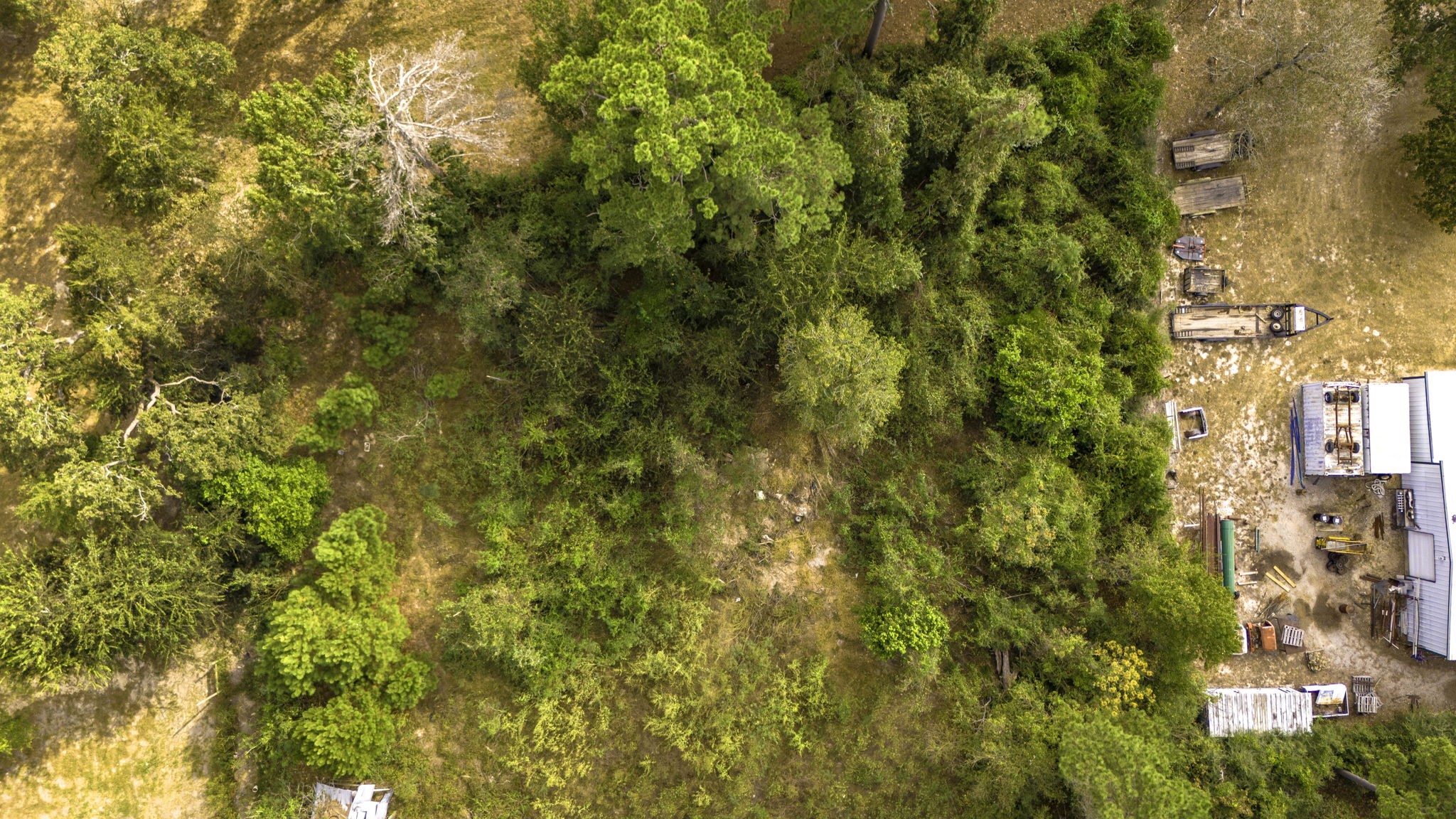 19791 Keenan Cut Off Road Montgomery, TX 77316 - Photo 30 of 41 a view of a building