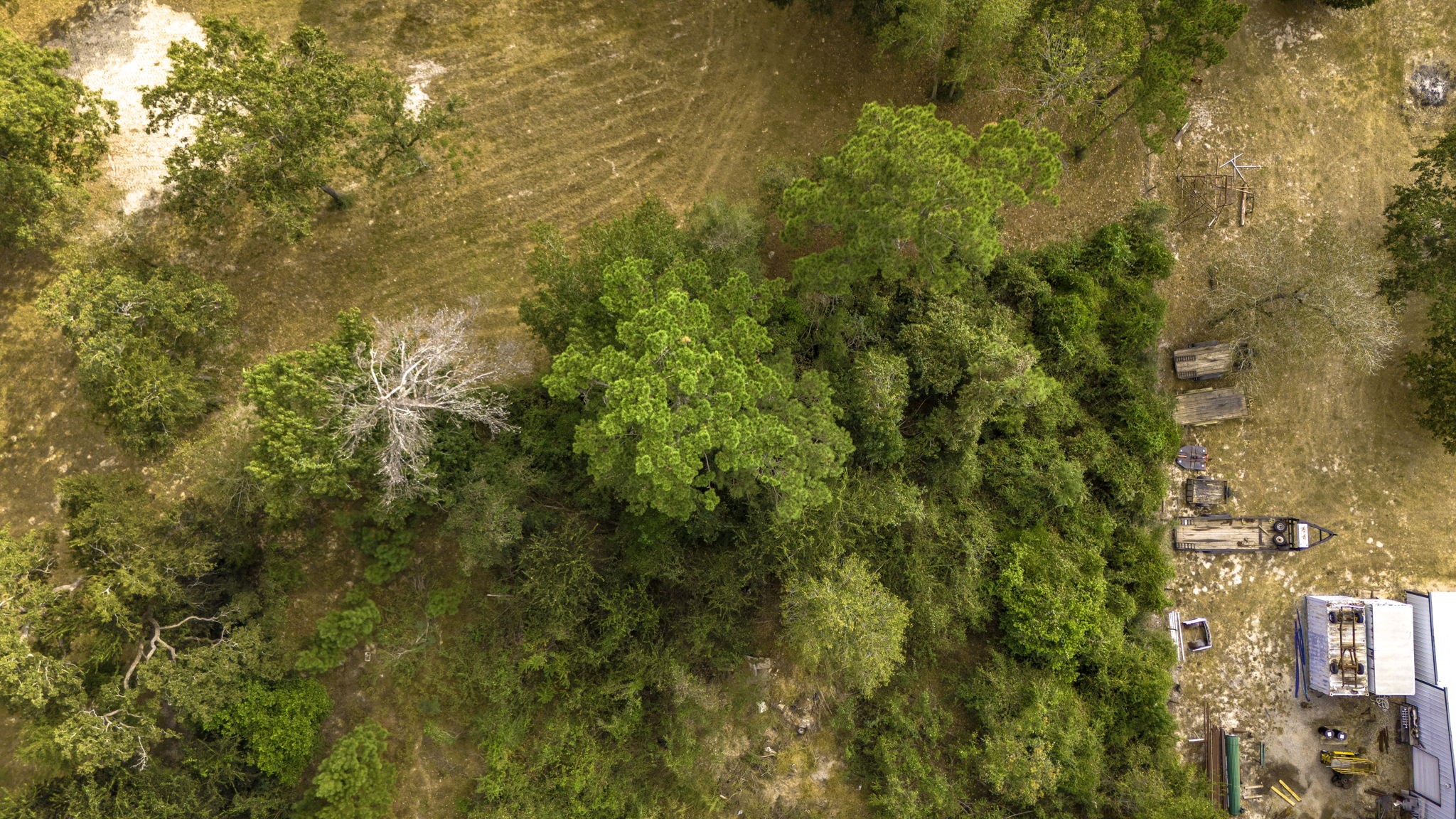 19791 Keenan Cut Off Road Montgomery, TX 77316 - Photo 31 of 41 a view of a tree with a tree in the background