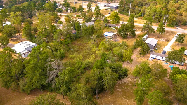 a view of a tree with a house in background