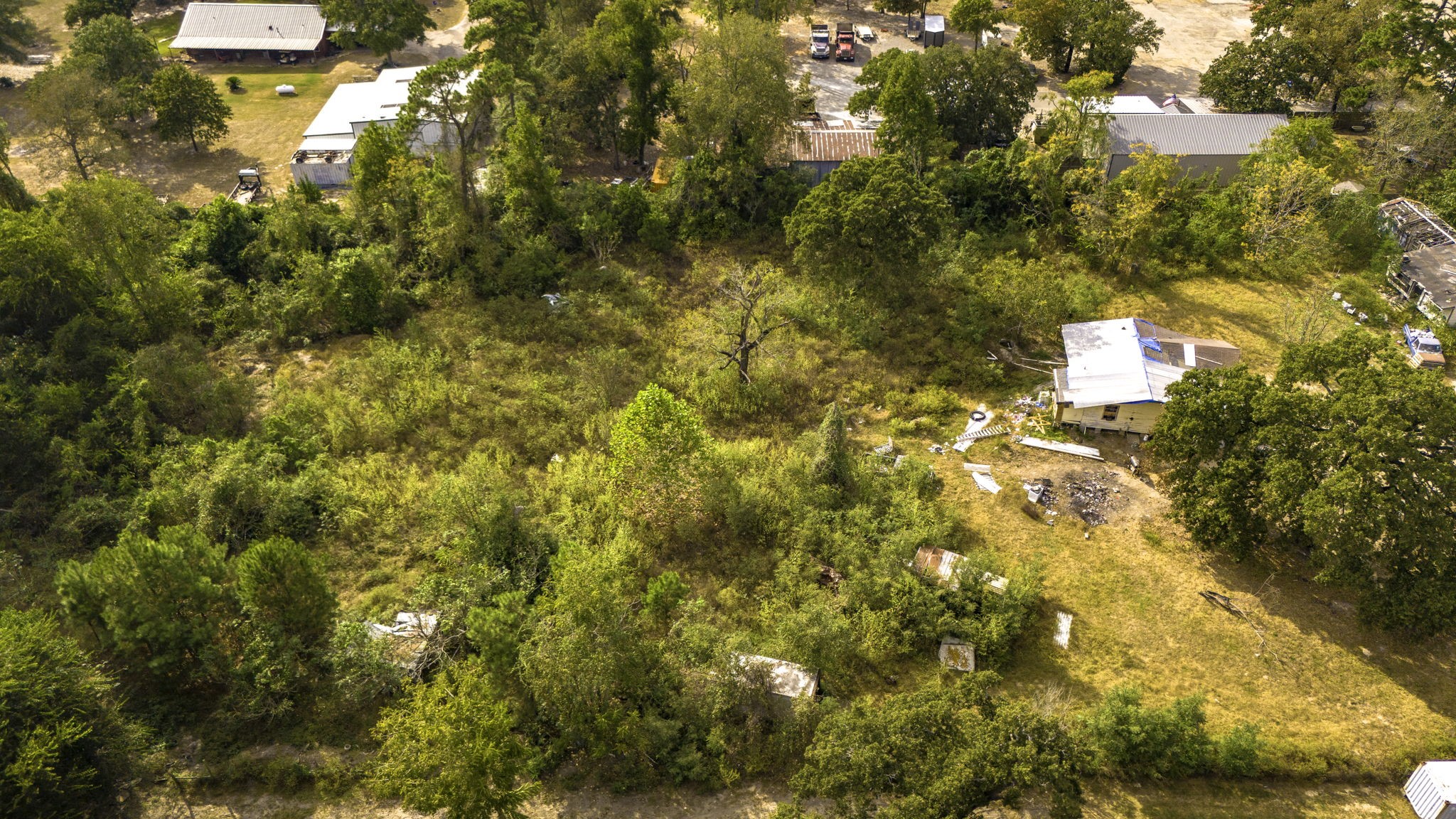19791 Keenan Cut Off Road Montgomery, TX 77316 - Photo 41 of 41 a view of a tree with a house in background