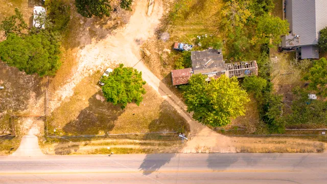a green field with lots of plants in it