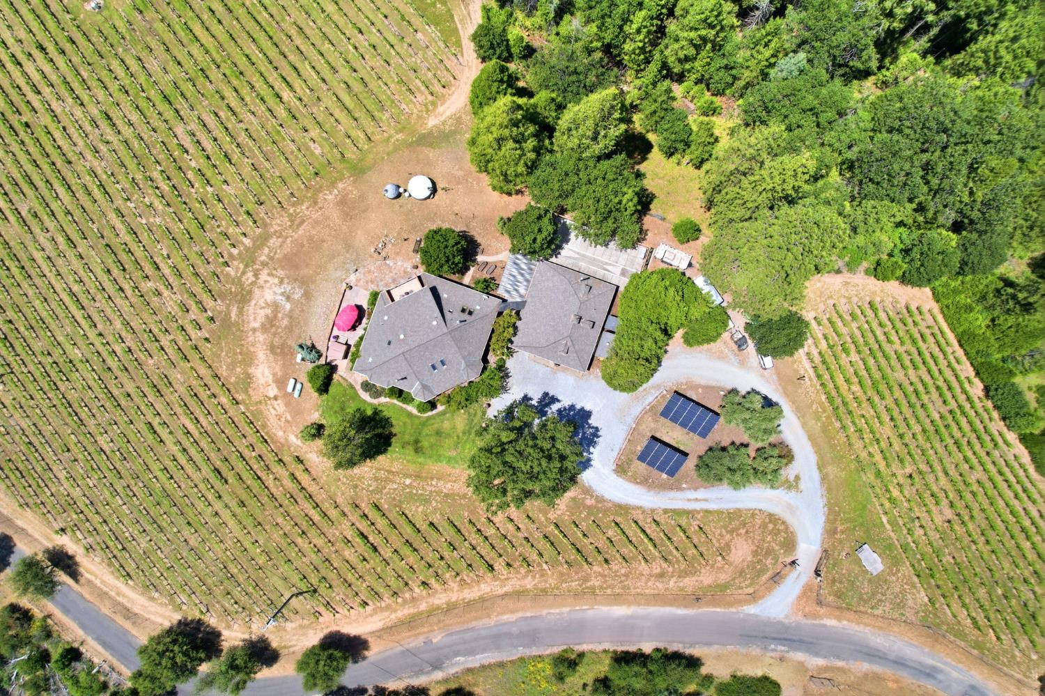 7201 Happy Valley Road Somerset, CA 95684 - Photo 71 of 75 Aerial perspective showcasing a property amidst extensive vineyard rows and natural tree coverage
