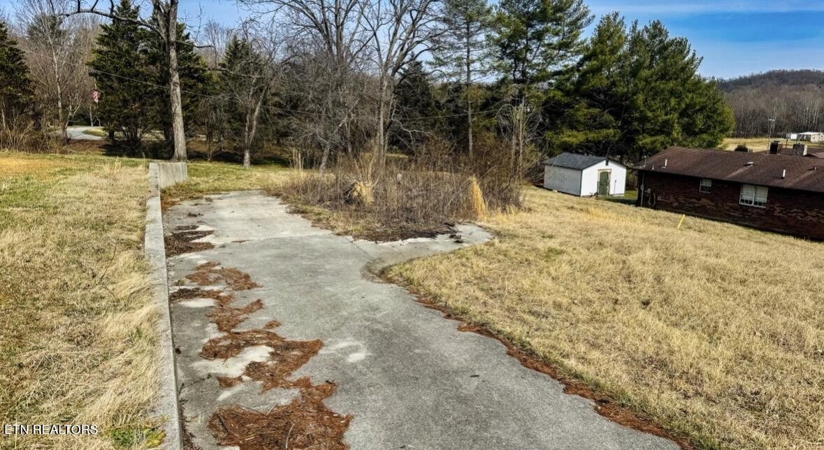 839 Cooper Lake Road Oneida, TN 37841 - Photo 3 of 10 a view of a yard with trees