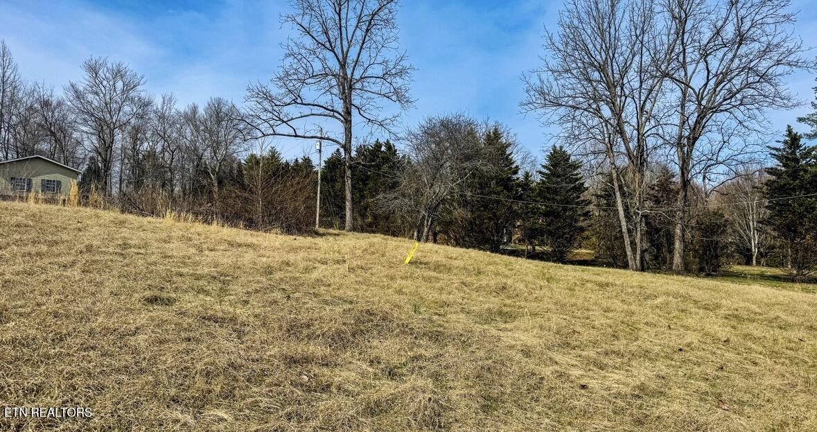 839 Cooper Lake Road Oneida, TN 37841 - Photo 5 of 10