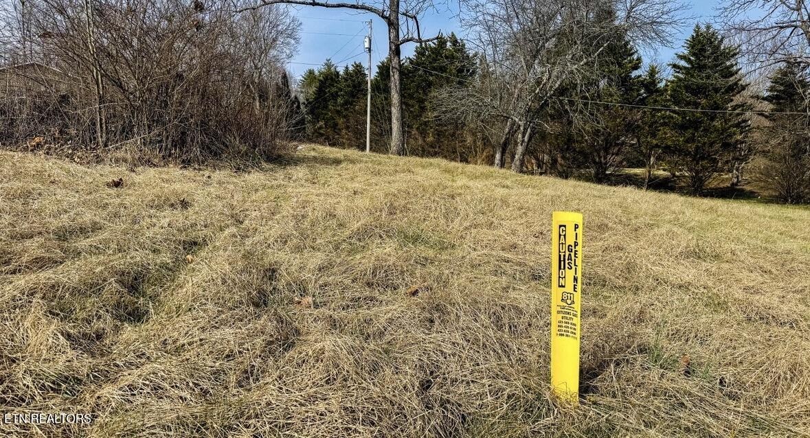 839 Cooper Lake Road Oneida, TN 37841 - Photo 6 of 10 a view of a yard with trees