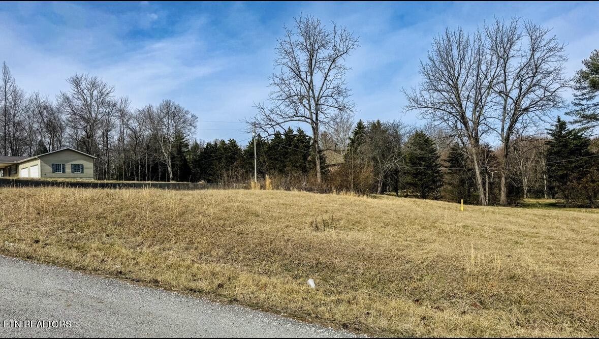 839 Cooper Lake Road Oneida, TN 37841 - Photo 10 of 10 a view of a yard with trees