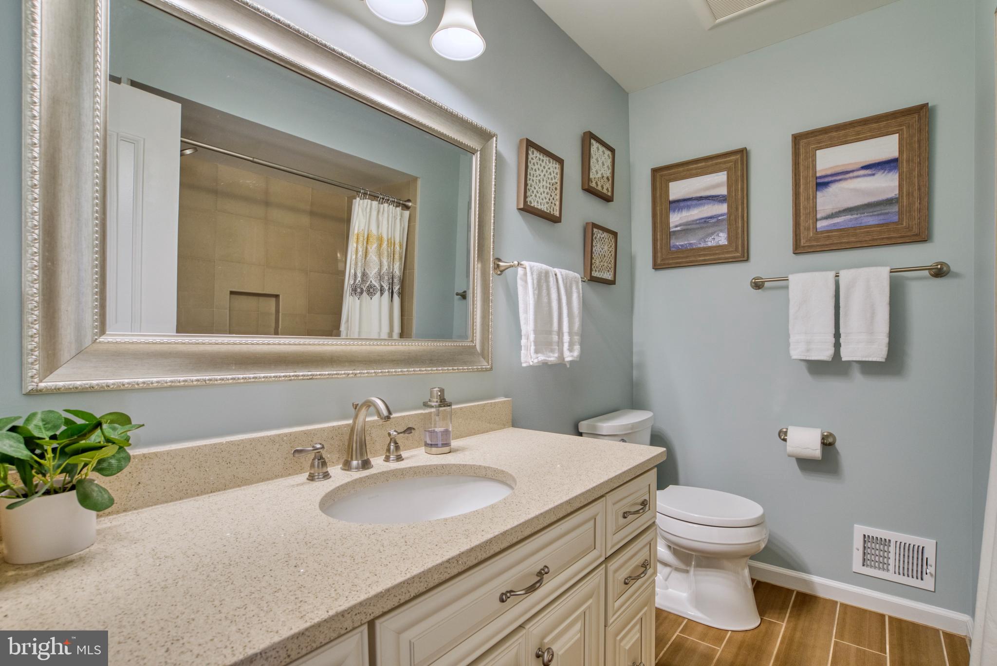 12010 Trotter Lane Reston, VA 20191 - Photo 27 of 79 Full Hall Bathroom