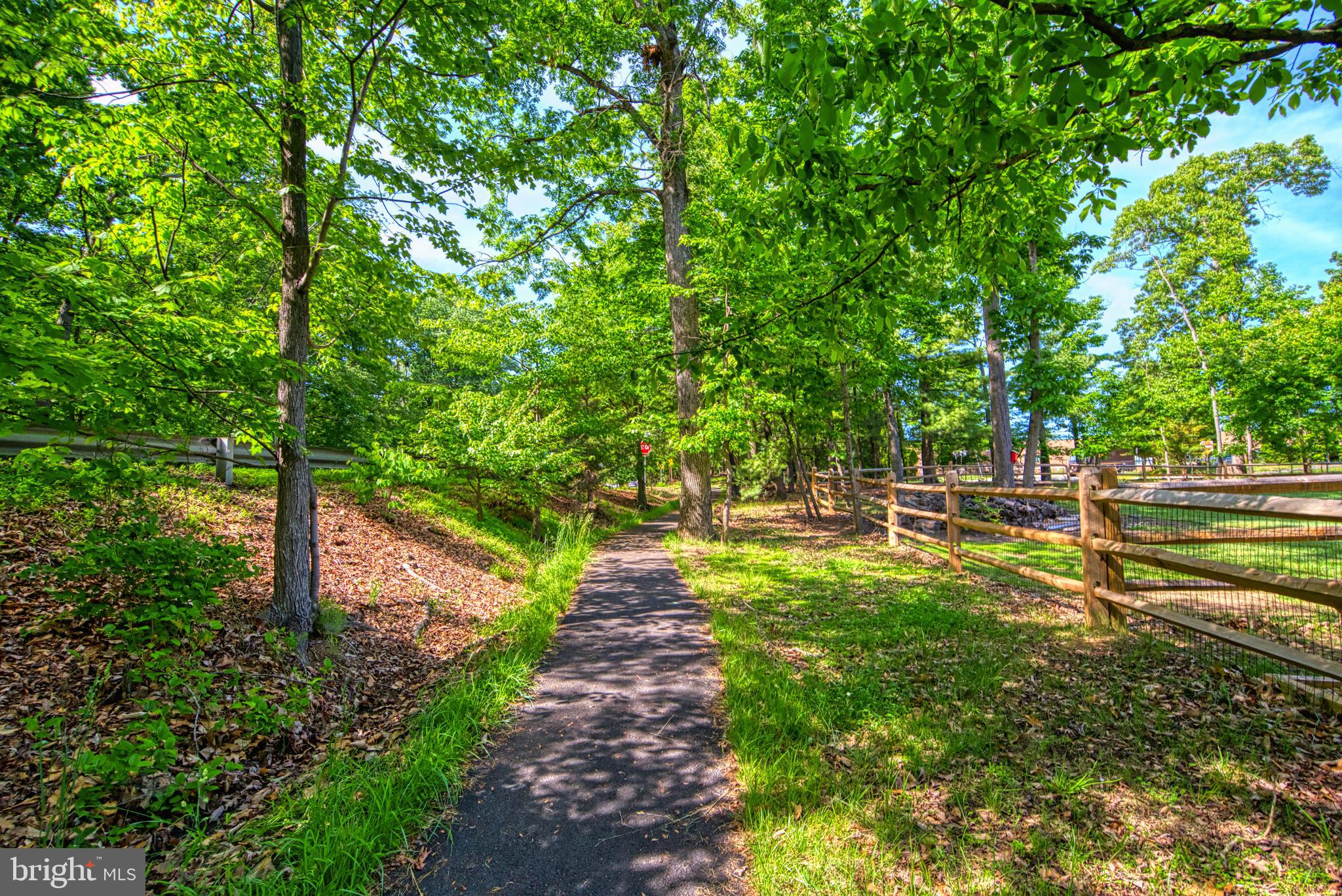 12010 Trotter Lane Reston, VA 20191 - Photo 47 of 79