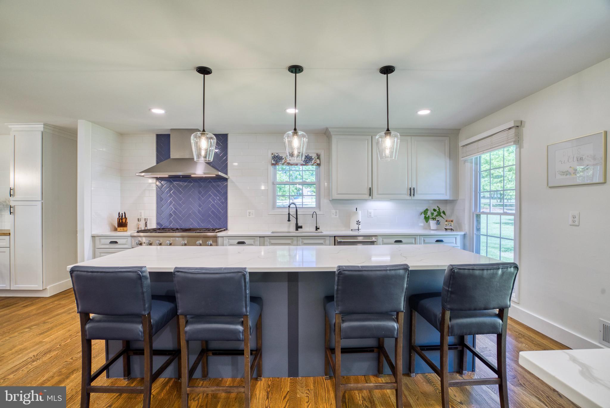 12010 Trotter Lane Reston, VA 20191 - Photo 6 of 79 Large Center Island