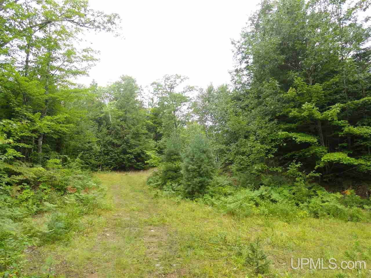 510 Rd Marquette Mi 49855 Road Negaunee, MI 49866 - Photo 5 of 26