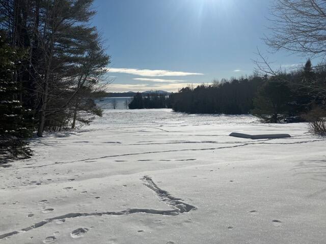 24 Berry Cove Road Lamoine, ME 04605 - Photo 3 of 4 IMG_5169