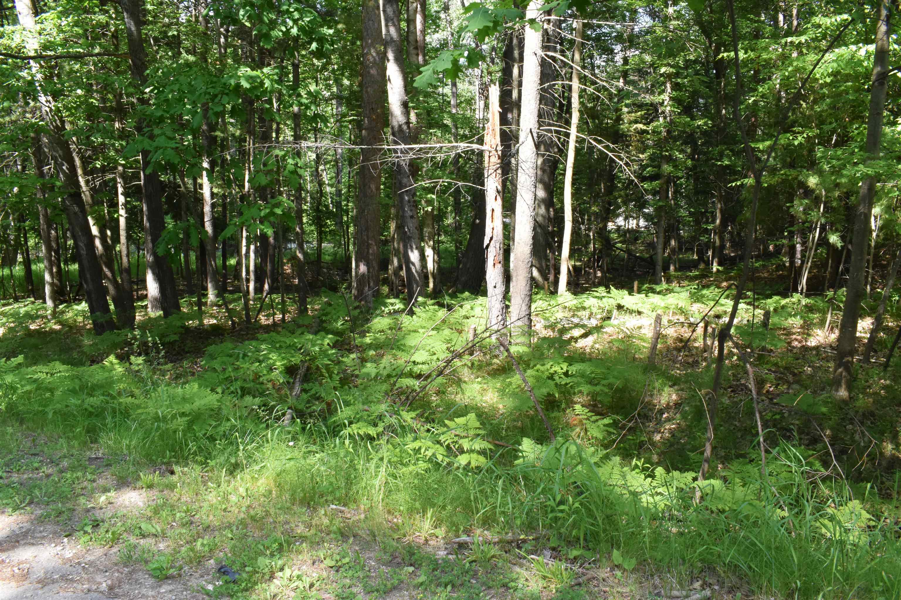 Lot 196 Princess Way Gladwin, MI 48624 - Photo 8 of 12