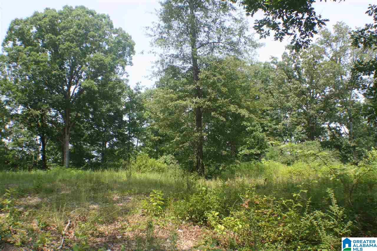 700 Willingham Road Talladega, AL 35160 - Photo 24 of 32 Gallery Image 24