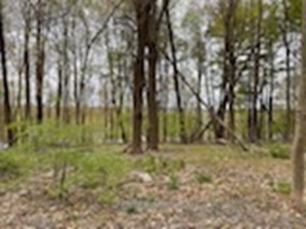20 Spring Street Ipswich, MA 01938 - Photo 22 of 27 Gallery Image 22