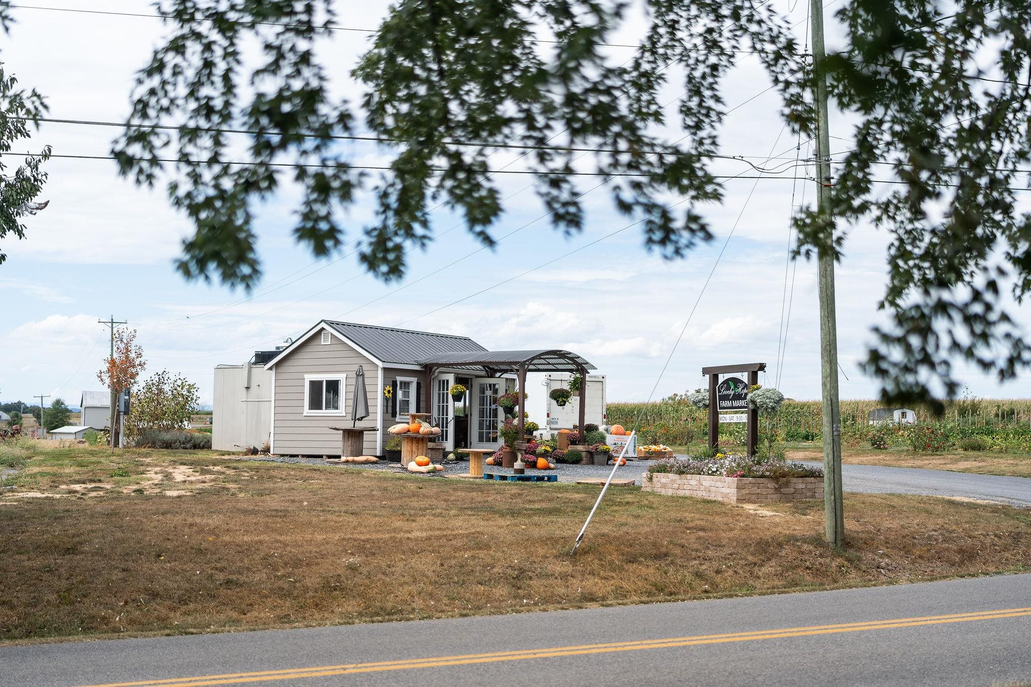 479 Battlefield Road Fort Defiance, VA 24437 - Photo 51 of 51 a front view of a house with a yard