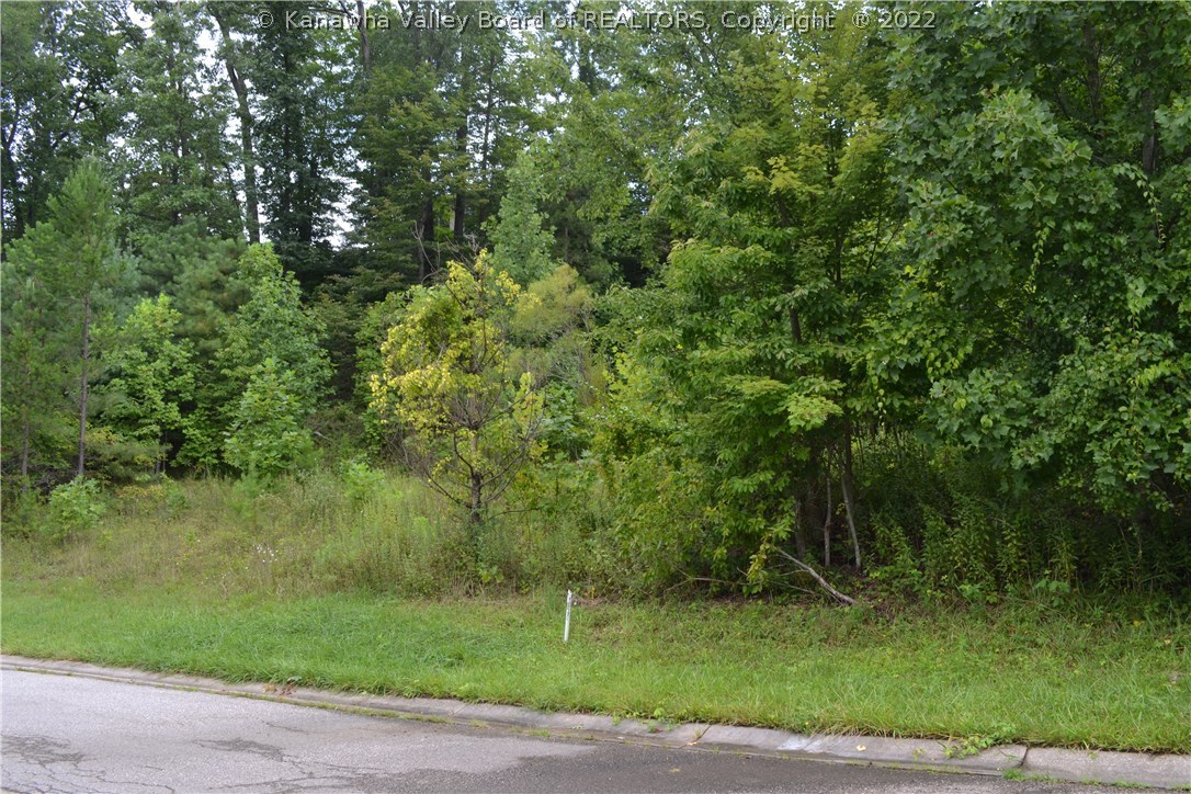 0 Salem Road Charleston, WV 25314 - Photo 2 of 9 Gallery Image 2