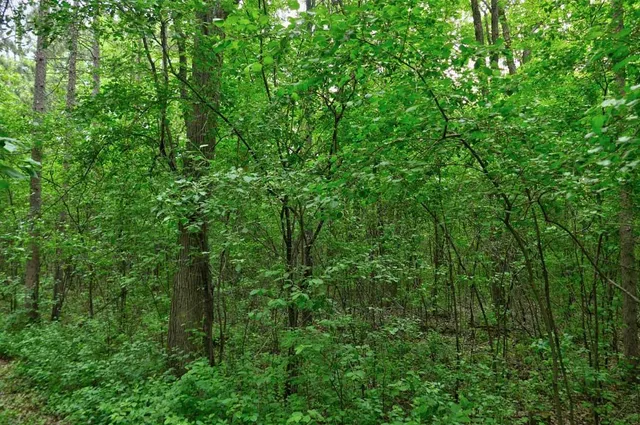 $50,000 | 653 115th Street, Amery, WI 54001