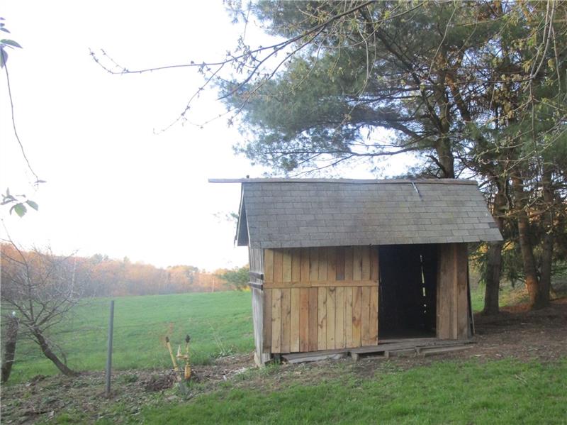 313 Weaver Road Marion Center, PA 15759 - Photo 19 of 19 shed