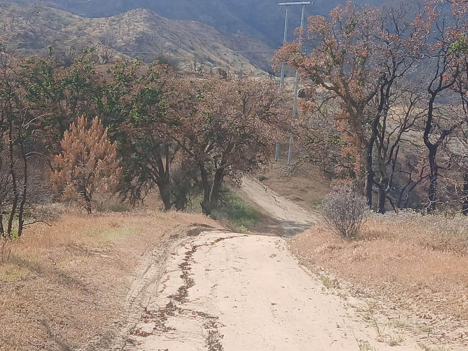 Kendall Road Caliente, CA 93518 - Photo 11 of 11