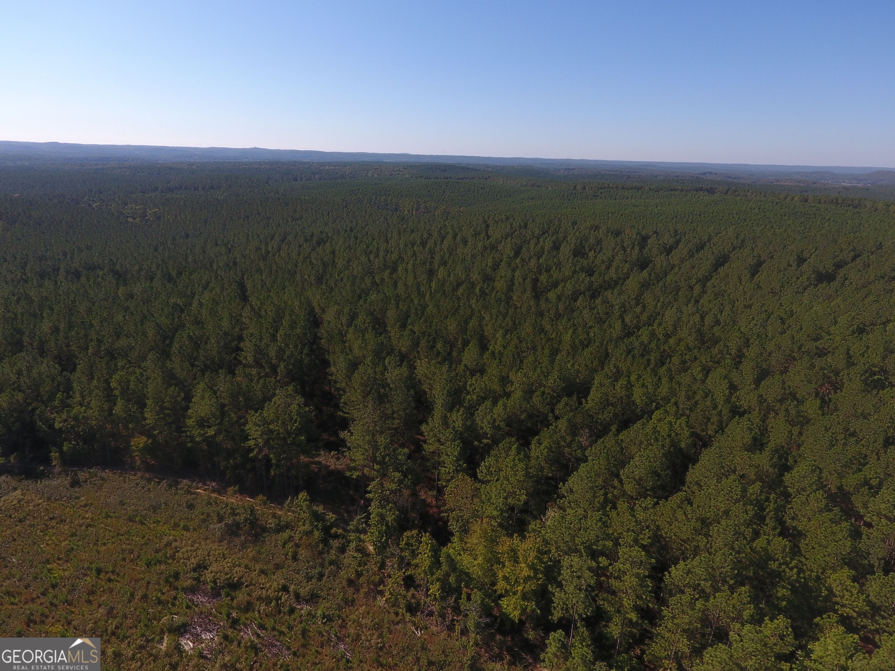 0 Coaling Road, Unit 9221D Cedartown, GA 30125 - Photo 14 of 29