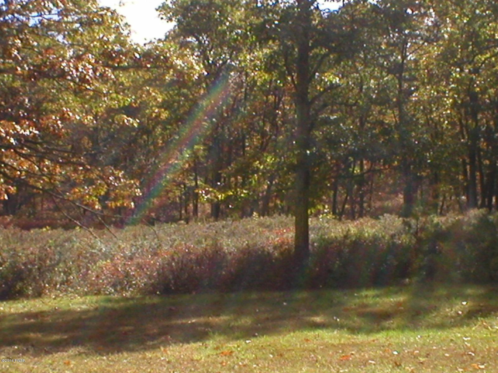396 Little Walker Road Shohola, PA 18458 - Photo 46 of 50