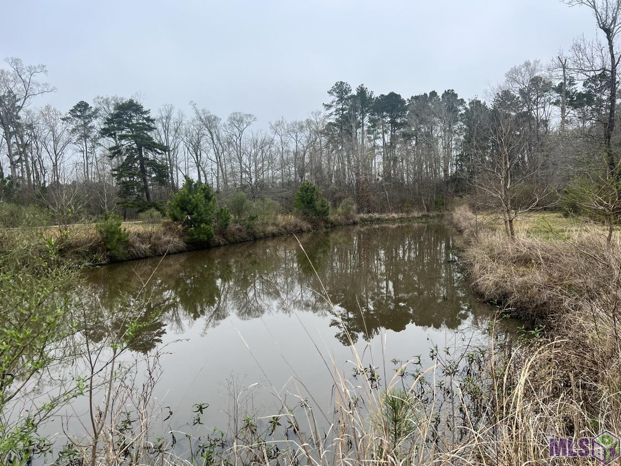 282 Price Road Clinton, LA 70722 - Photo 11 of 24