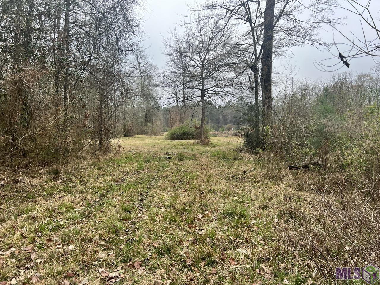 282 Price Road Clinton, LA 70722 - Photo 12 of 24