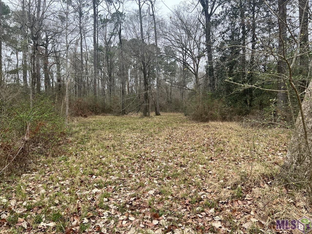 282 Price Road Clinton, LA 70722 - Photo 13 of 24