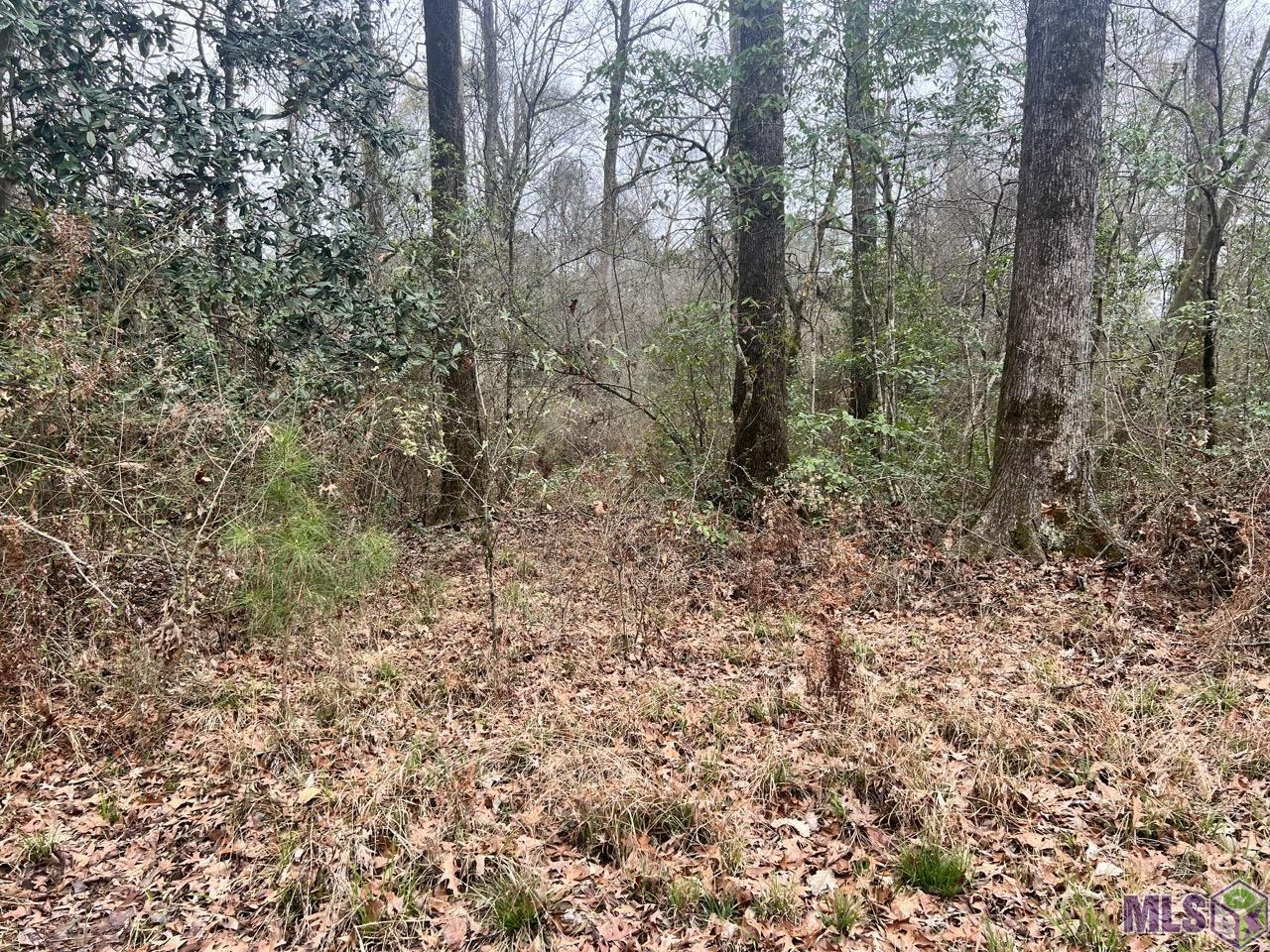 282 Price Road Clinton, LA 70722 - Photo 14 of 24